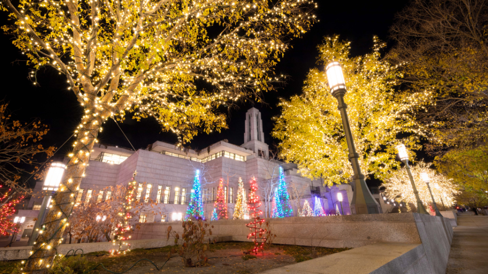 AndersonBrendon_ChristmasLights_TempleSquare_0029.jpg