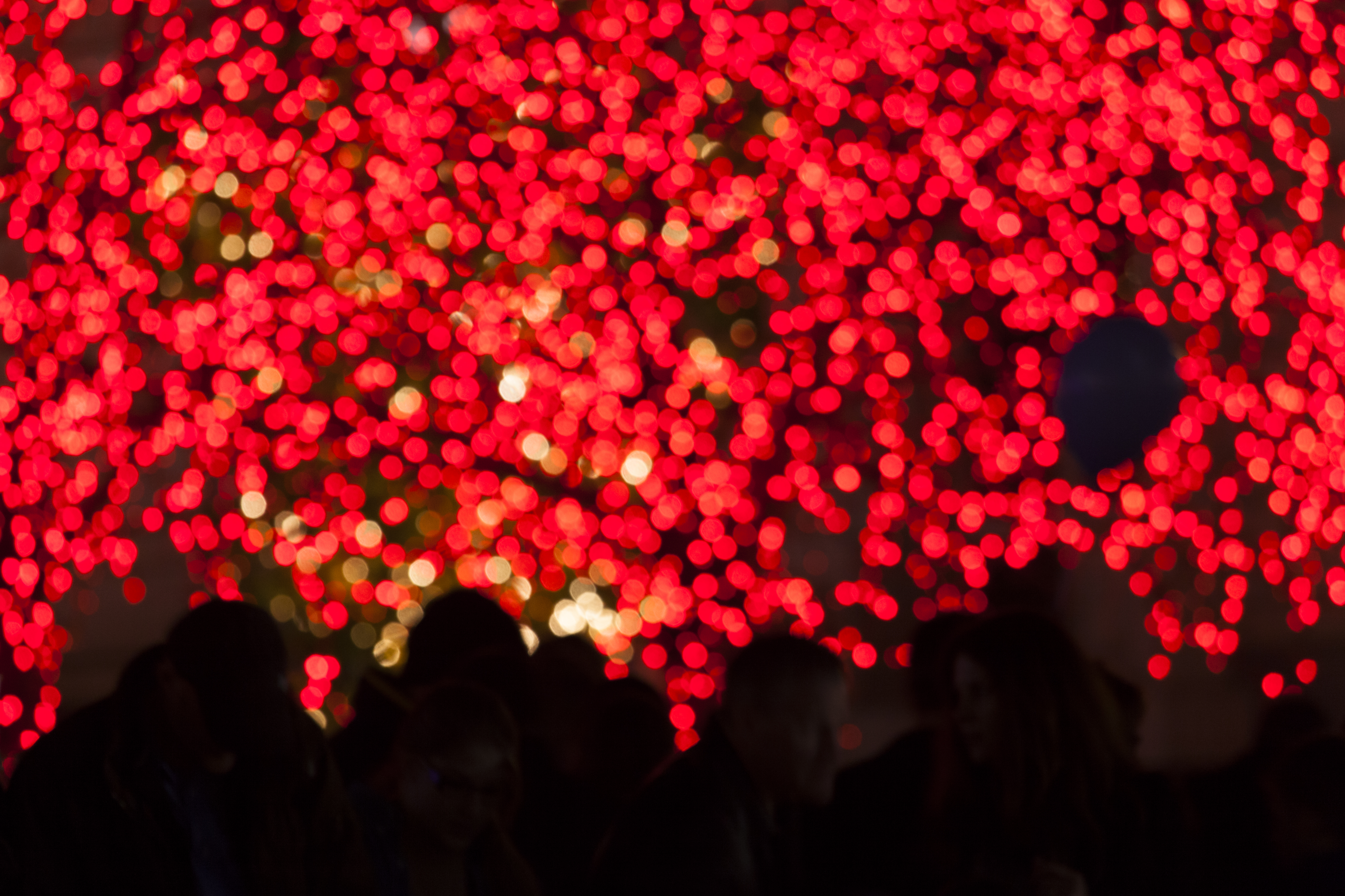 Christmas Temple Square 2013 red lights crowd