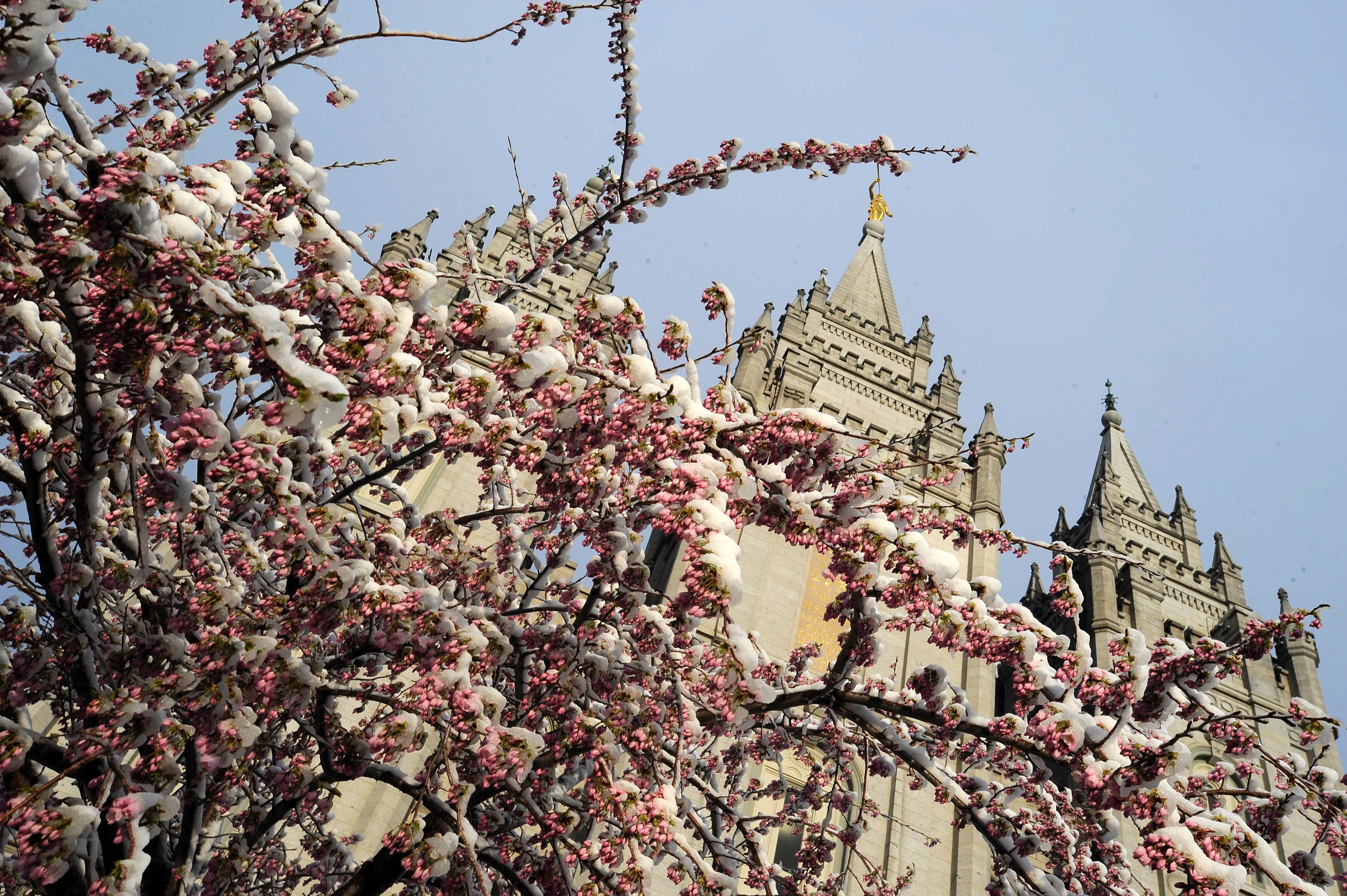 Salt Lake Temple snow sunam April11