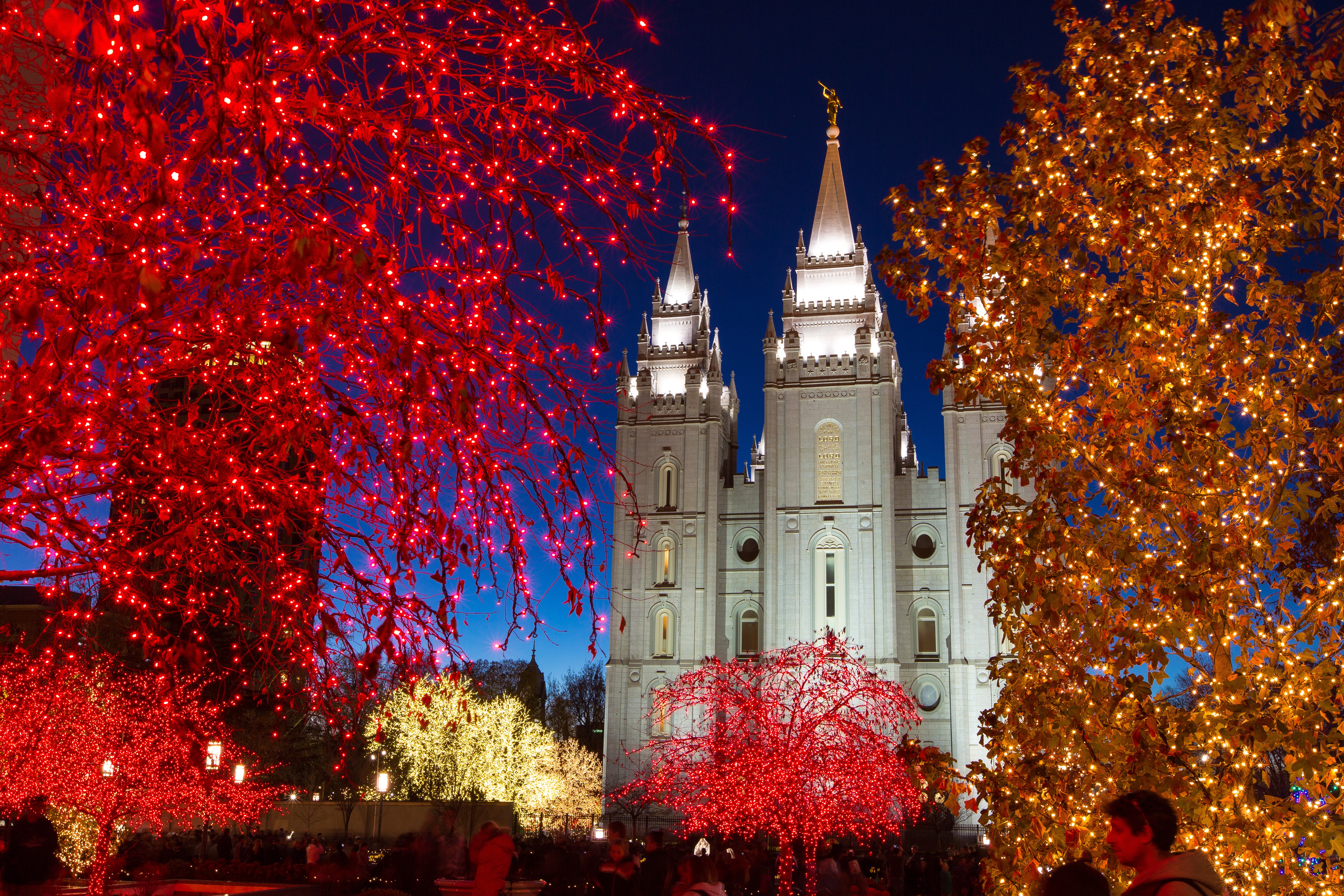 Temple Square lights25 2014