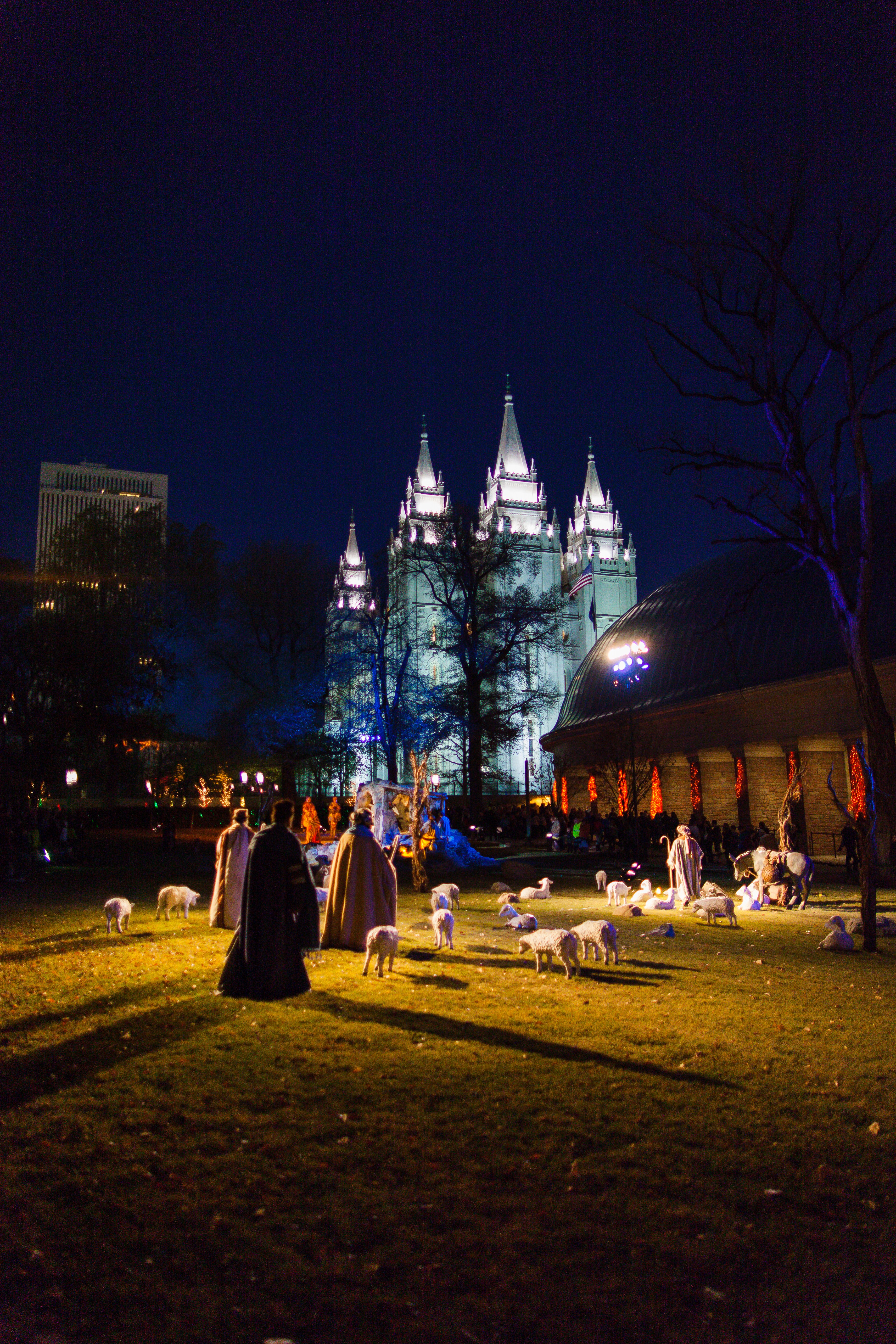 Temple Square lights27 2014