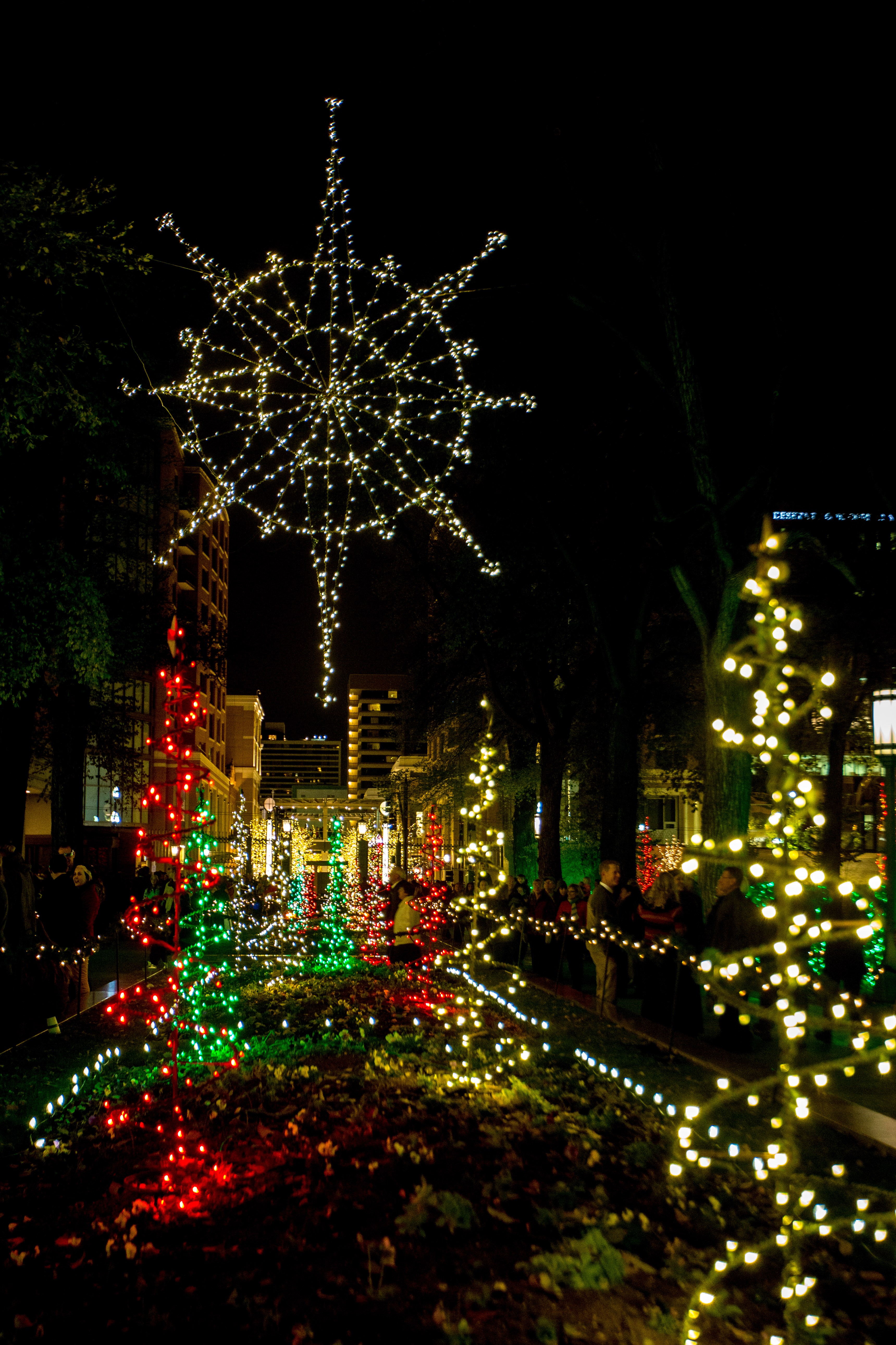 Temple Square lights2 2014